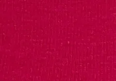 Polo Red · RT 89